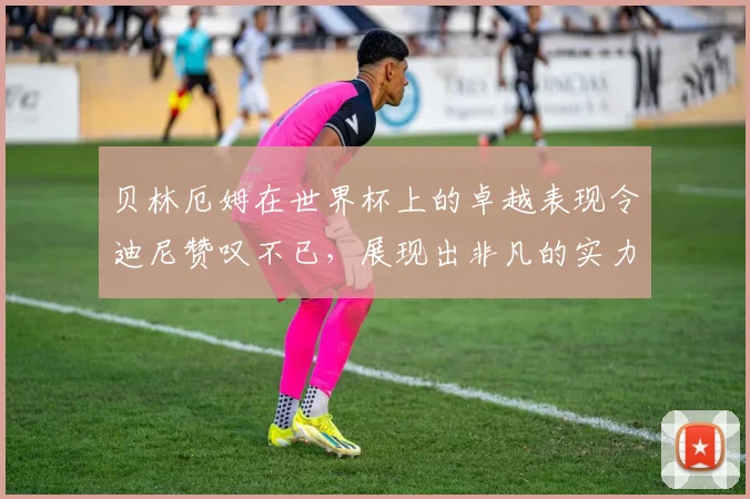 贝林厄姆在世界杯上的卓越表现令迪尼赞叹不已，展现出非凡的实力与魅力
